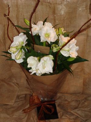 AMARYLLIS BOUQUET